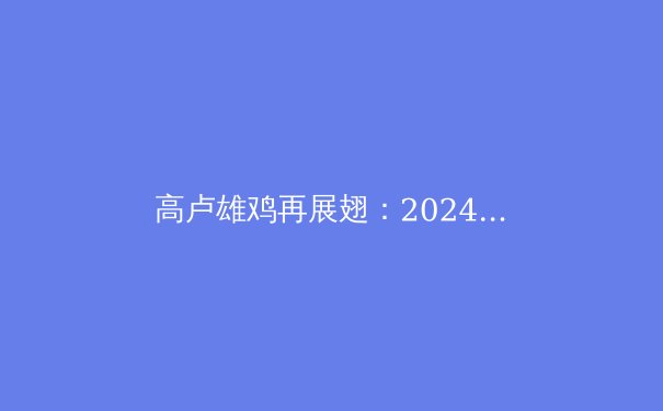 高卢雄鸡再展翅：2024欧洲杯法国队战术革新深度解析 - 4